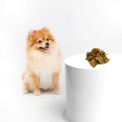 The Importance of Proper Nutrition for Young Dogs: The Benefits of Natural Treats