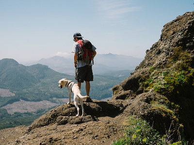 Unleash the Adventure: Top 10 Dog-Friendly Hiking Trails You Must Explore in the UK