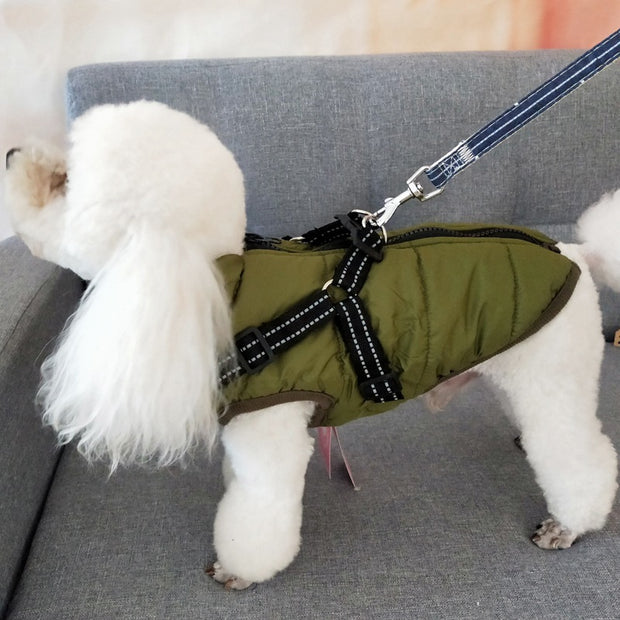 Small Dog Jacket with Harness