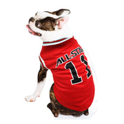 Small Dog Basketball Vest