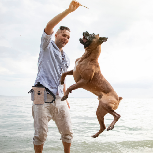 Dog Training Treat Pouch
