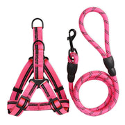 Puppy Harness & Lead Sets