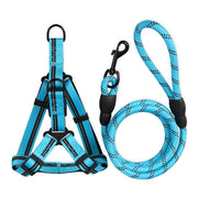 Puppy Harness & Lead Sets