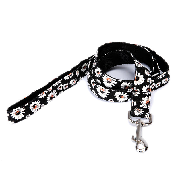 Selection of Dog Leads