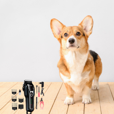 Dog Grooming Starter Kit 