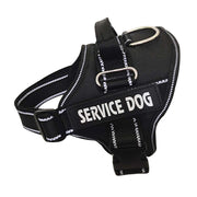Personalised Harness For All Breeds