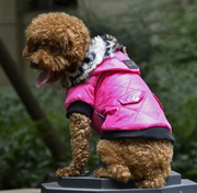 Stylish Winter Small Dog Coat