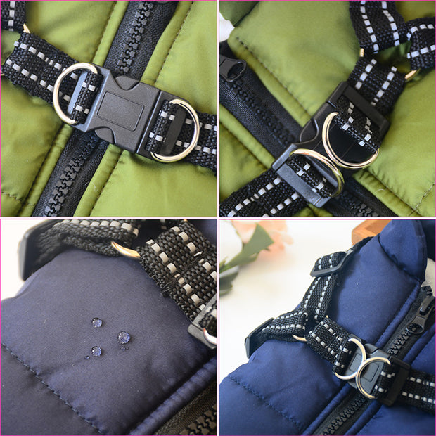 Small Dog Jacket with Harness