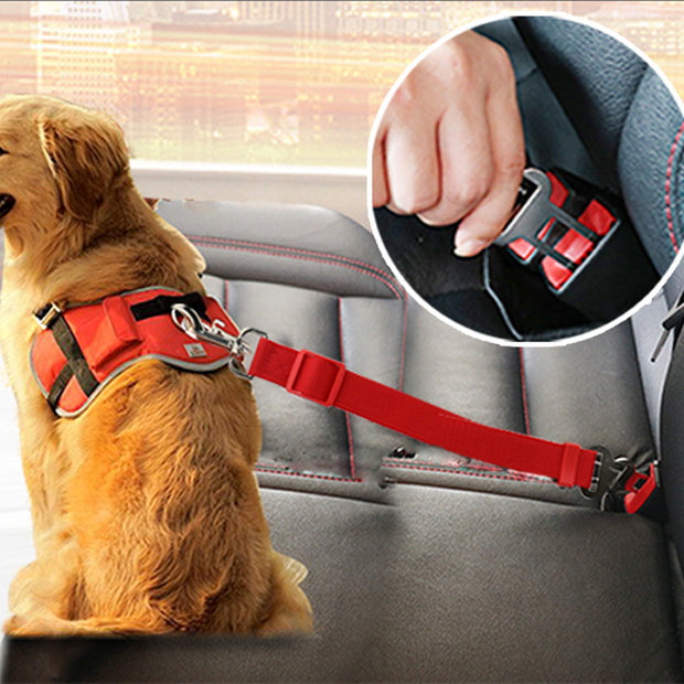 Pet Seat Belt Selection