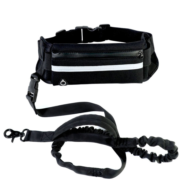 Hands-Free Lead and Training Pouch