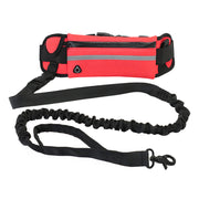 Hands-Free Lead and Training Pouch