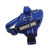 Personalised Harness For All Breeds